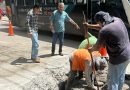 Optimizan Infraestructura Pluvial en Tampico*